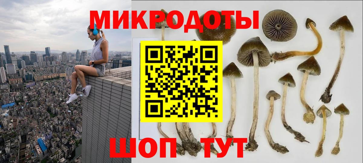 Орск  Галлюциногенные грибы GOLDEN TEACHER  Вход с VPN 