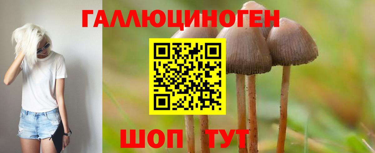Галлюциногенные грибы GOLDEN TEACHER Орск